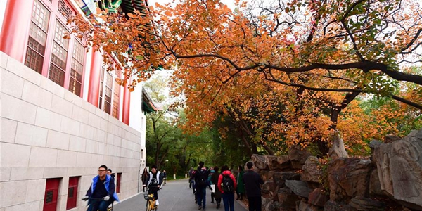 Осень в кампусе Пекинского университета