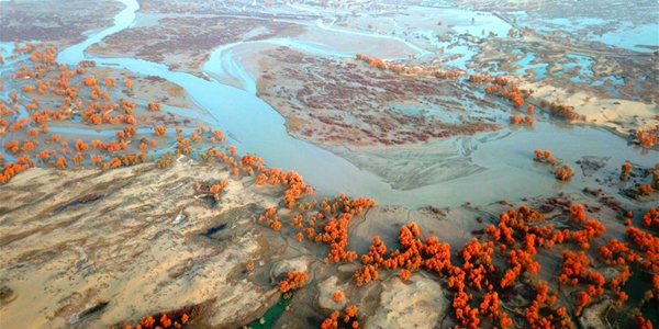 Осенний пейзаж реки Тарим