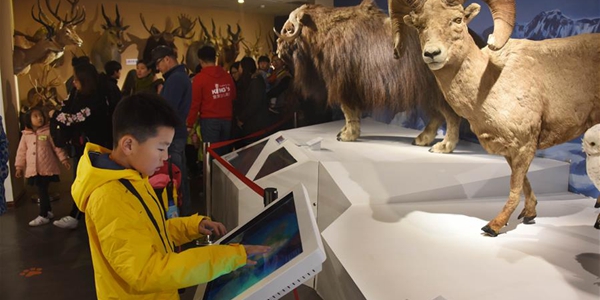 В Восточном Китае открылся Музей естественной истории Беринга