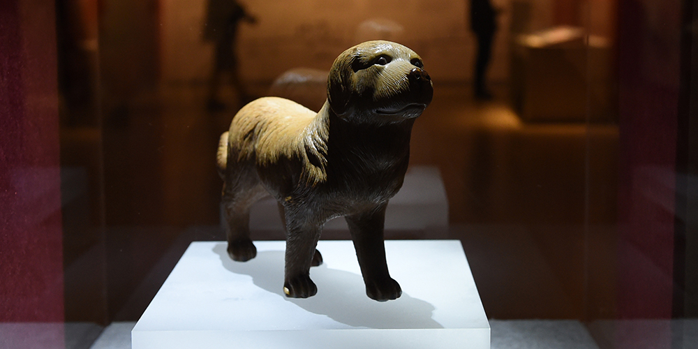В Нанкинском музее открылась выставка, посвященная наступающему году Собаки