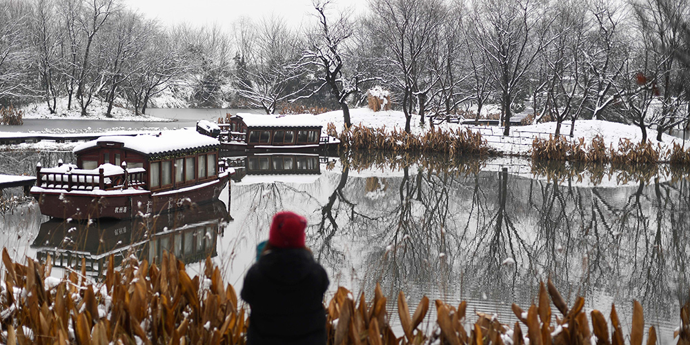 Зимняя идиллия парка Сиси в Ханчжоу