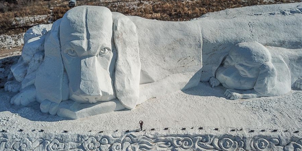 В парке Шэньяна появилась масштабная скульптура собак из снега