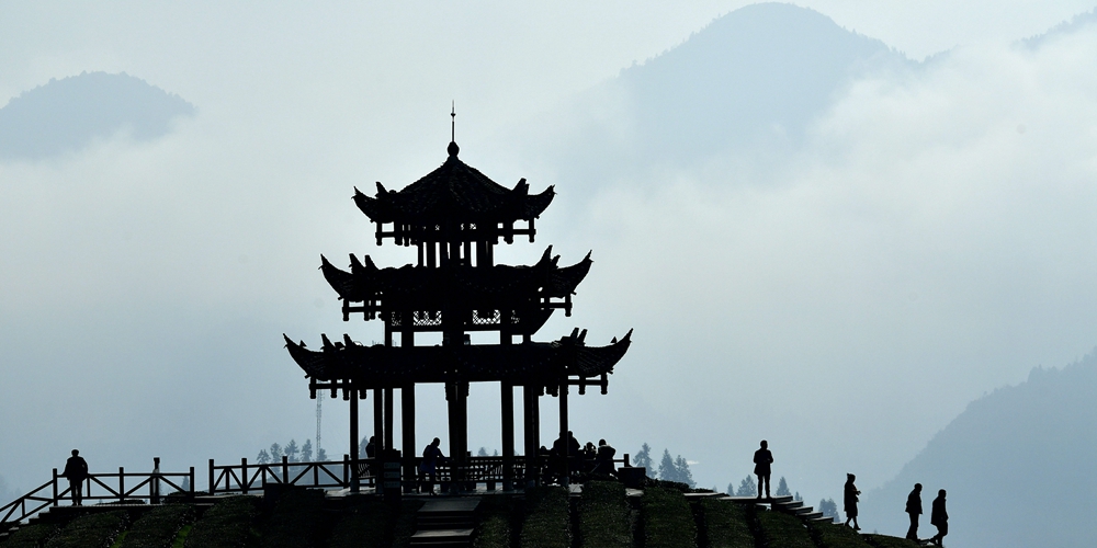 Прогулка среди чайных кустов в уезде Сюаньэнь