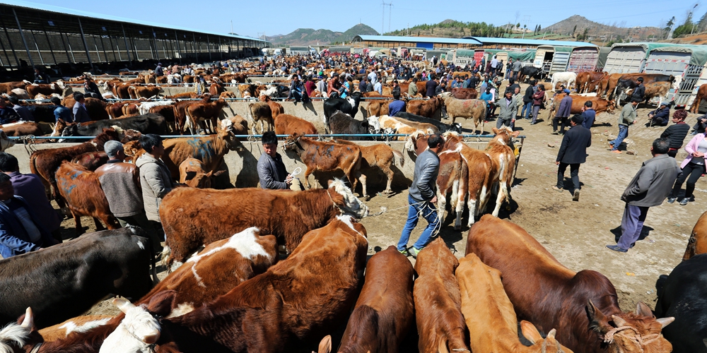 Рынок скота в поселке Сяохай