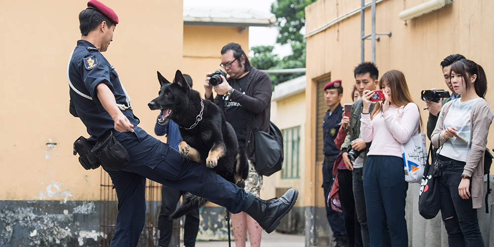 Открытая тренировка на базе полицейских собак в Аомэне