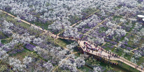 Цветущий парк в провинции Цзянсу