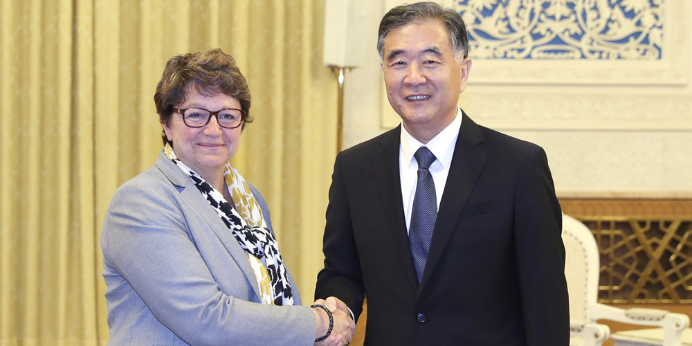 Ван Ян встретился с первым заместителем председателя Национального собрания Франции
