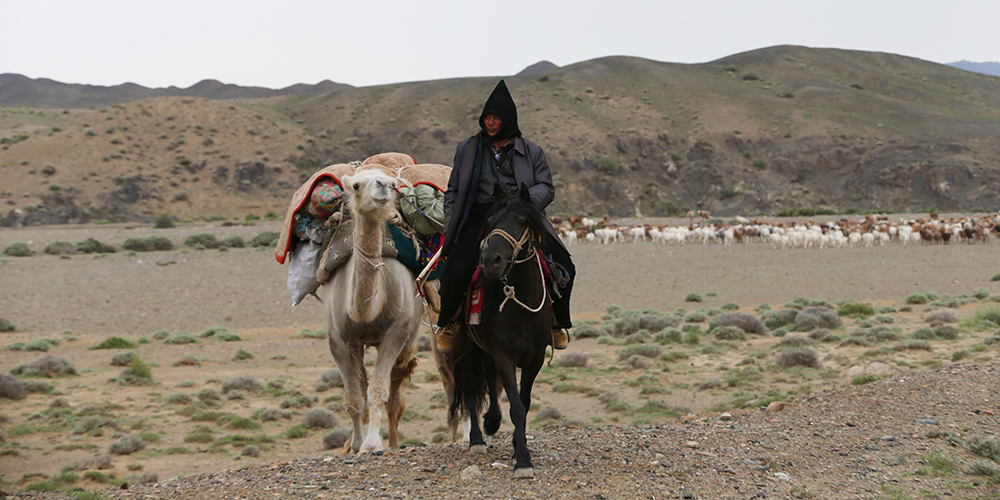 Казахи-скотоводы уезда Баркель гонят стада на летние пастбища
