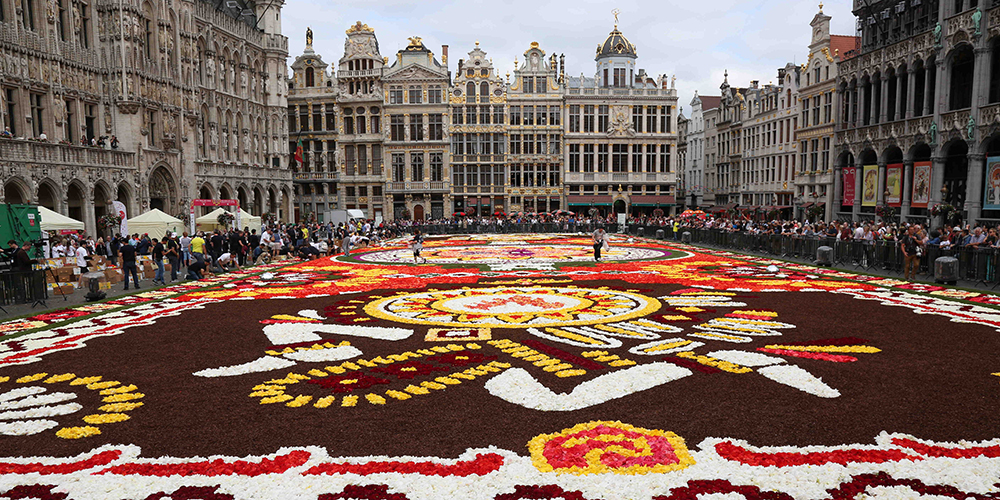 Цветочный ковер из полумиллиона бегоний украсил главную площадь Брюсселя