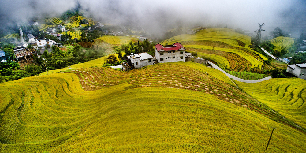 Террасированные поля в деревне Гуйхуа провинции Шэньси