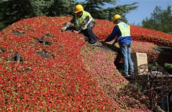 Гигантская цветочная корзина украсит к празднику центр Пекина