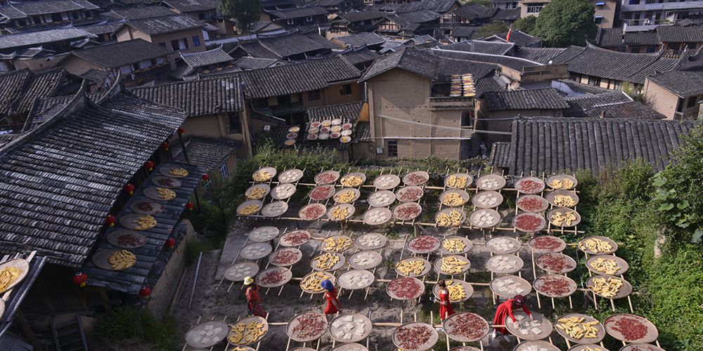 Крестьяне в провинции Фуцзянь сушат урожай различных сельскохозяйственных культур