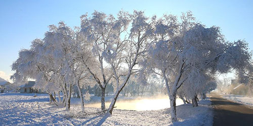В Беларуси выпал первый снег