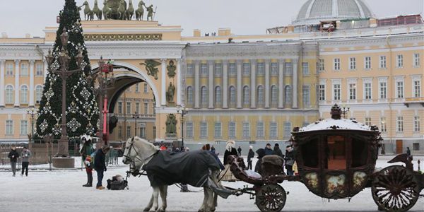 В Петербурге поставили главную городскую новогоднюю елку