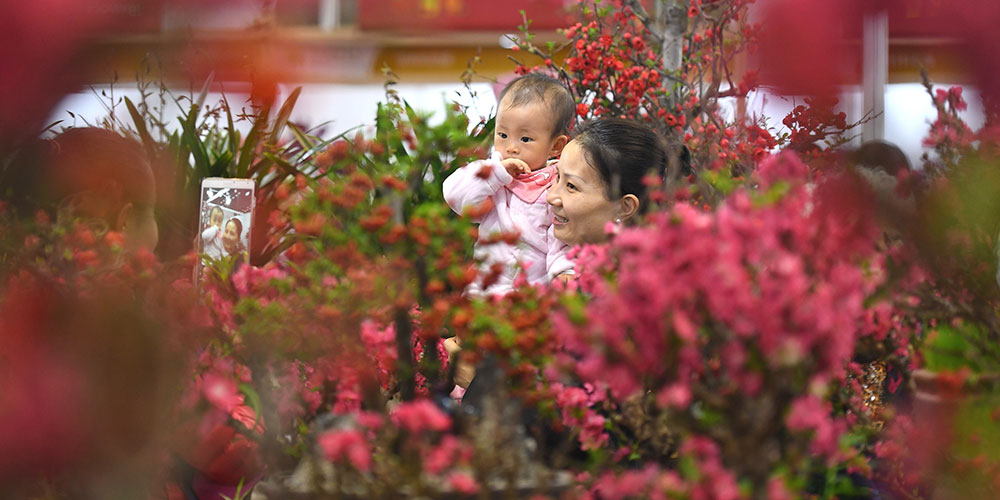 Жители г. Шэньчжэнь покупают живые цветы для встречи праздника Весны