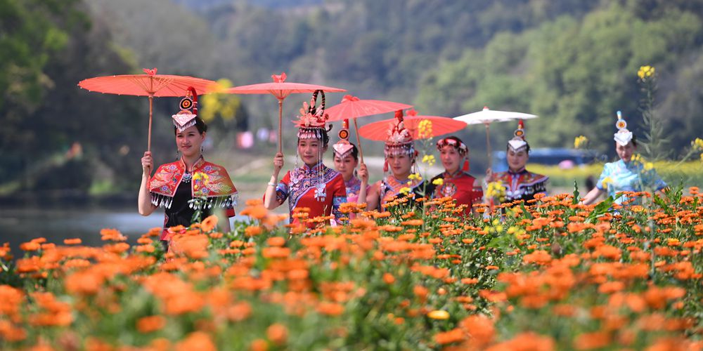 Весна в провинции Фуцзянь