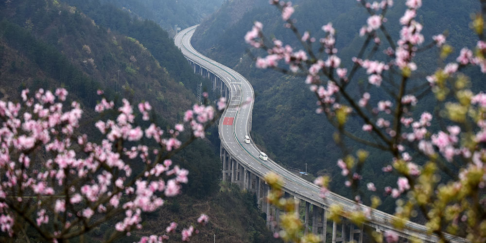 Цветение персиков и груш у скоростного шоссе в провинции Гуйчжоу