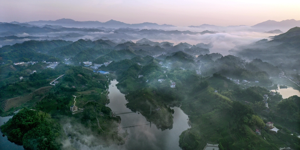 Живописные пейзажи чайных плантаций в провинции Аньхой