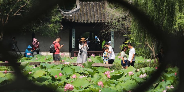 Праздник лотосов в Саду скромного чиновника в Сучжоу