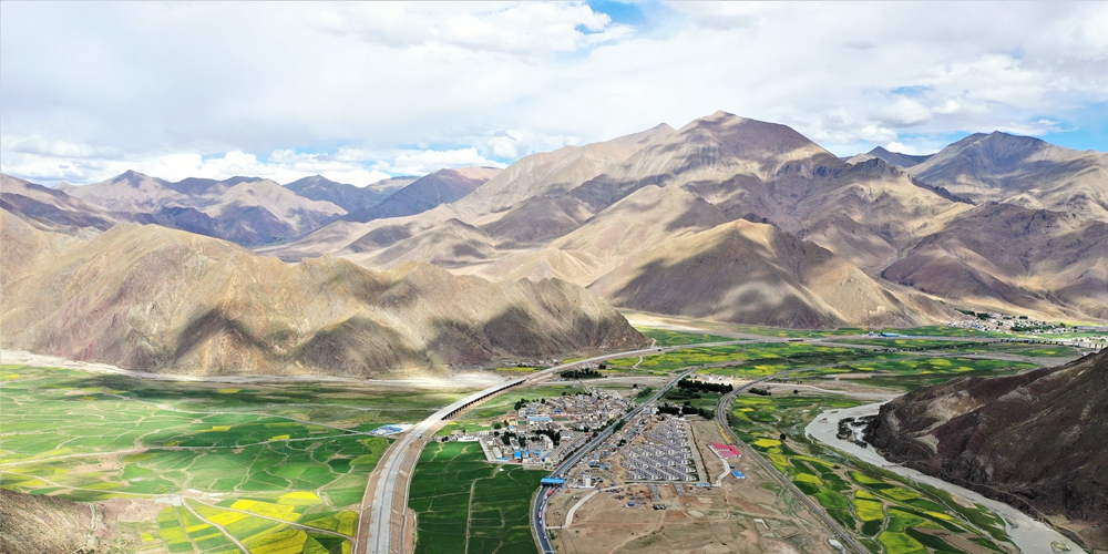 Яркие краски цветущих рапсовых полей на Тибете