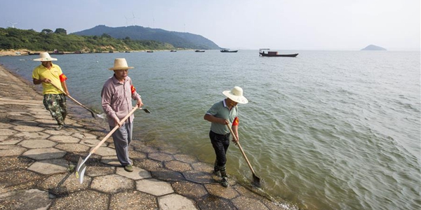 В озере Поянху уровень воды превысил опасную отметку