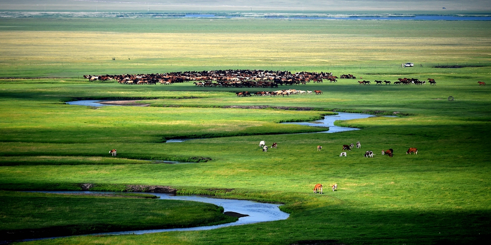 Очарование бескрайних степей Внутренней Монголии