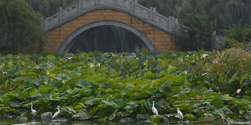 Водное путешествие по Пекинско-Ханчжоускому Великому каналу