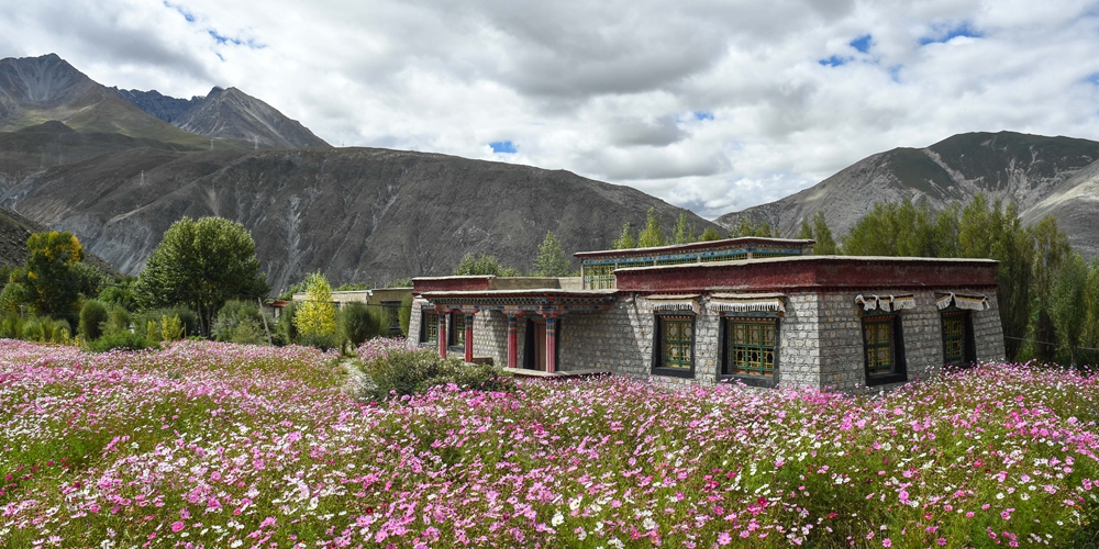 Тибетский уезд Ньемо окутан пышным цветением