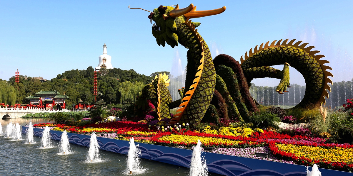 Парки в Пекине украсили новыми цветочными клумбами