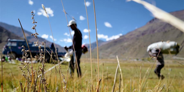 Заготовка кормовых трав в Тибете