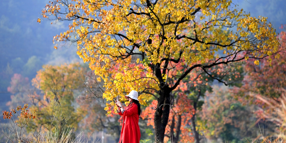Золотая осень в горах Дабешань