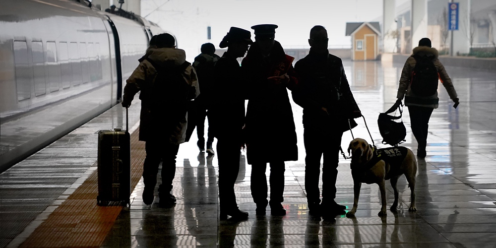 Китай: слабовидящие пассажиры могут ездить на высокоскоростных поездах с собаками-поводырями