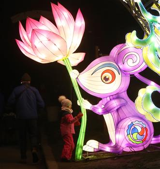 В Киеве отметили китайский Новый год