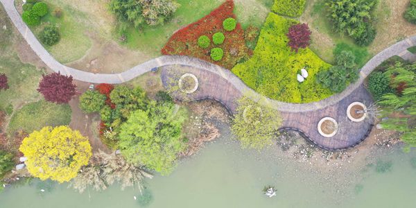 Буйство весенних красок в парке уезда Яньлин