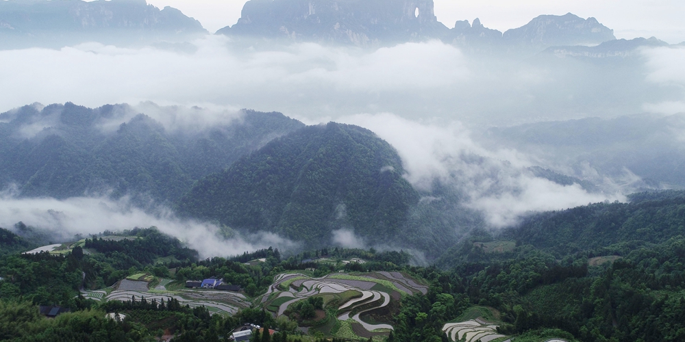 Окутанные облаками террасные поля в провинции Хунань