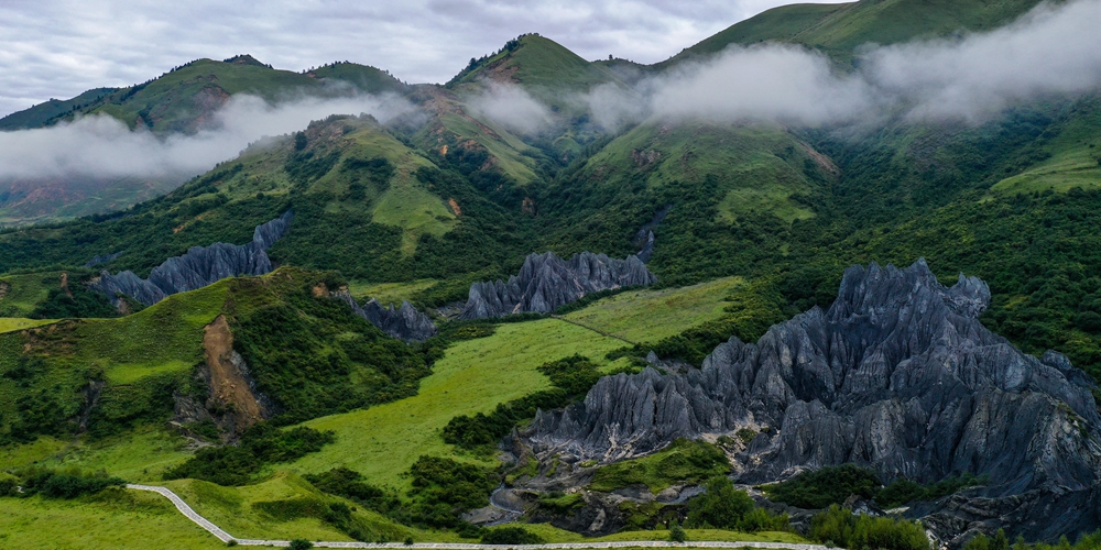 Каменный лес в провинции Сычуань