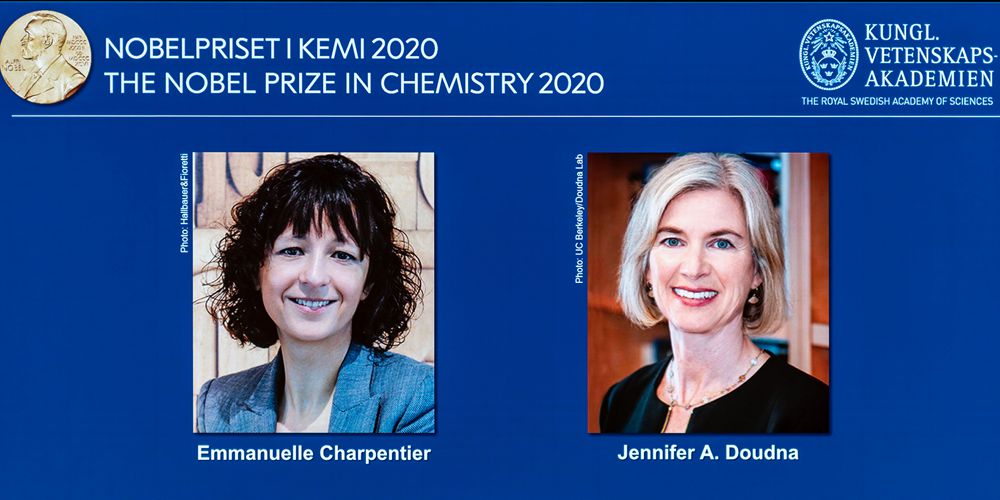 Двое ученых удостоены Нобелевской премии по химии 2020 года за открытие "генетических ножниц"