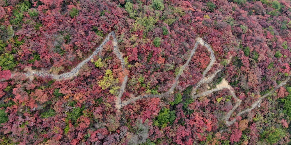 Осеннее многоцветье ландшафтного парка Чаншоушань