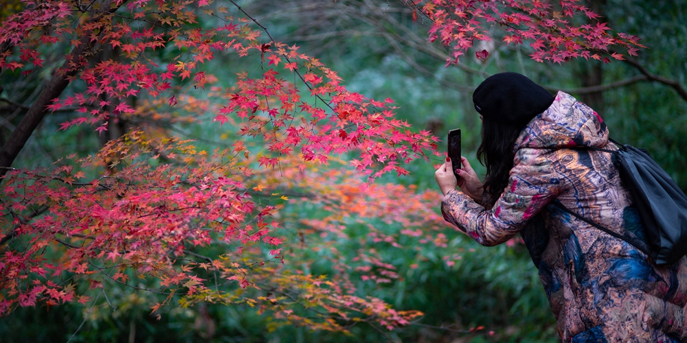 Китайская природа на рубеже осени и зимы