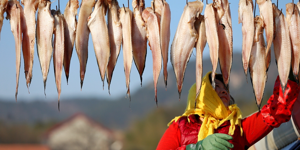 Производство вяленой рыбы в Циндао
