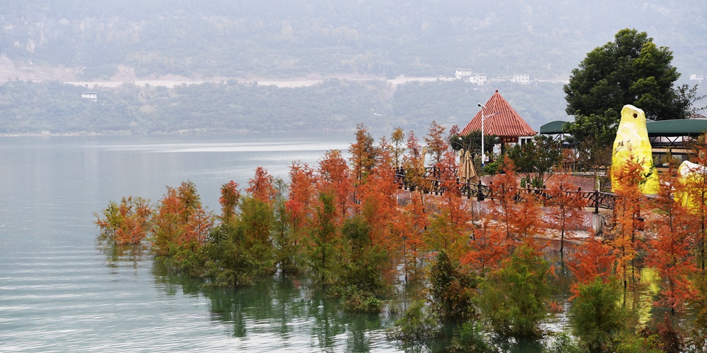 Красочный “водяной лес” украсил берега Чунцина