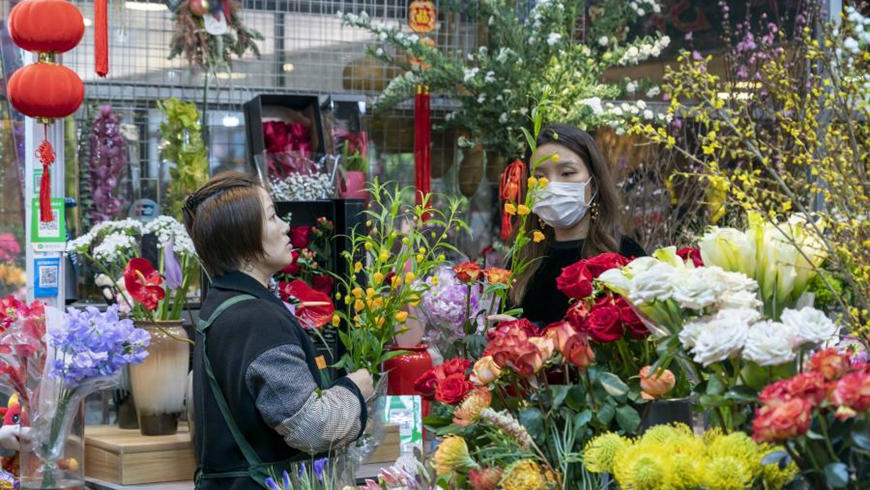 Новогодний ажиотаж на цветочном рынке в Шанхае