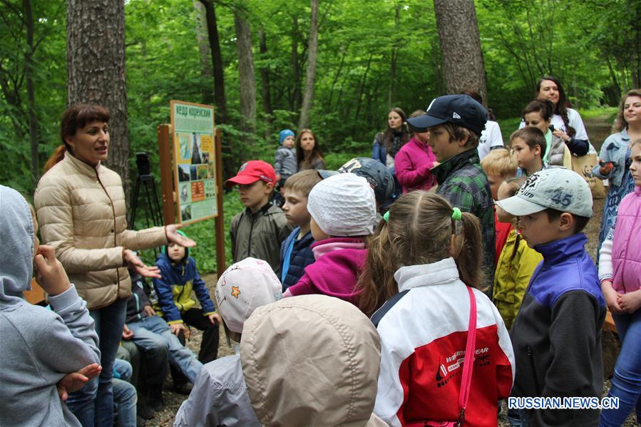 Торжественное открытие площадки Всемирного фонда дикой природы во Владивостоке