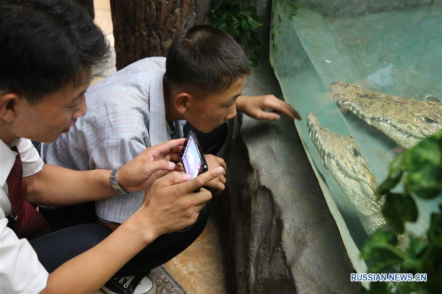 В Пхеньяне открылись Центральный зоопарк и Музей естествознания КНДР