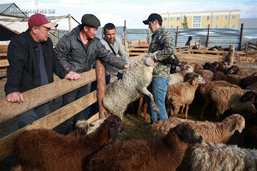 Мусульмане Казахстана отмечают праздник Курбан-Айт