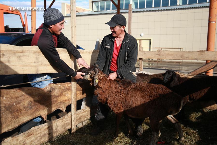 Мусульмане Казахстана отмечают праздник Курбан-Айт