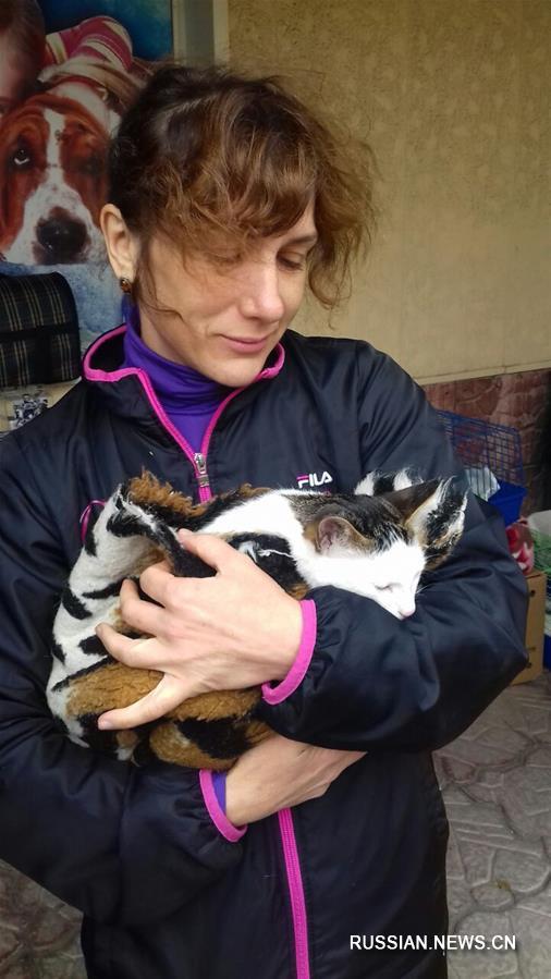 Во Владивостоке раздавали бездомных котят