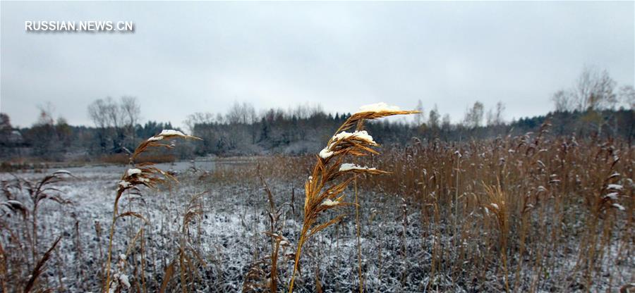 Первый снег в Беларуси