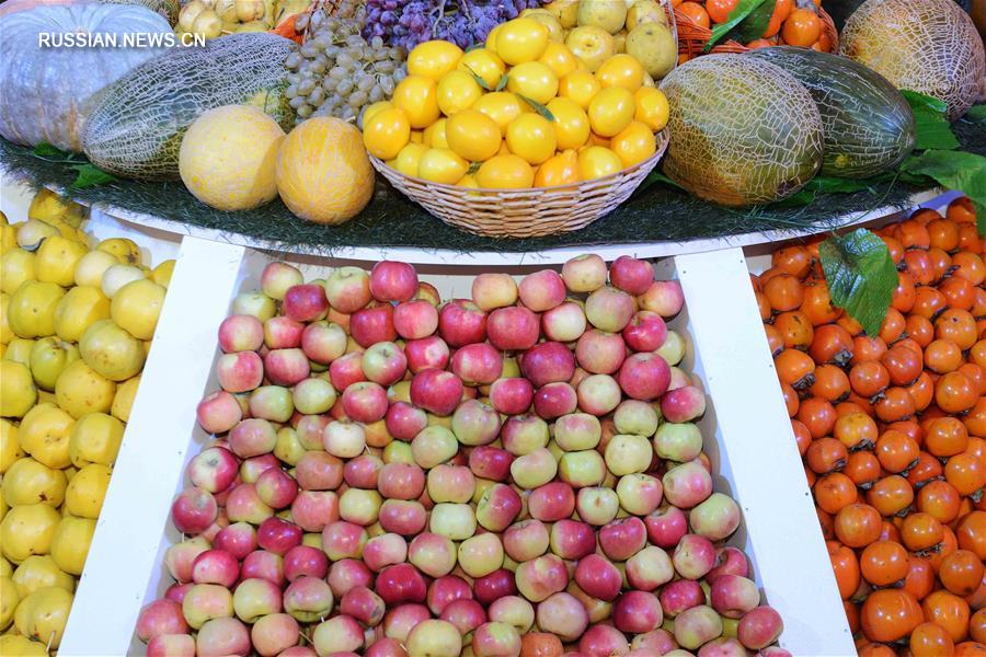 В Ташкенте открылась международная плодоовощная ярмарка 