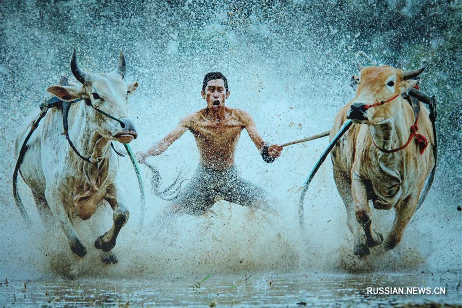 Фотовыставка "Исламская культура и быт Великого Шелкого пути" в Астане